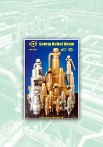 317 T-ONE-S(MFG): 專業安全閥製造商
