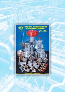 317 T-ONE-S(MFG): 專業安全閥製造商