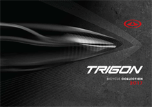 Trigon_2017