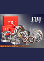FBJ_straight_Needle_Universal_bearings_new_two